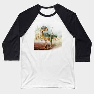 Dinosaur Baby Baseball T-Shirt